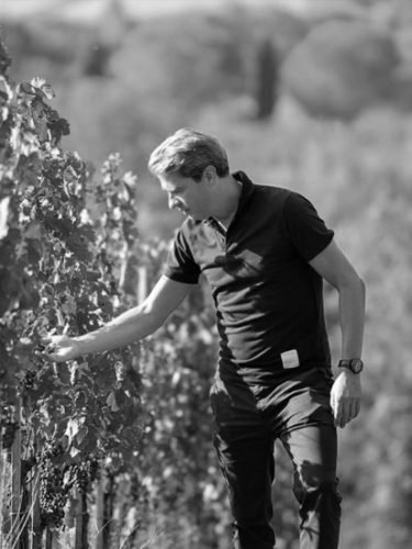 man at castello monte vibiano vecchio farm