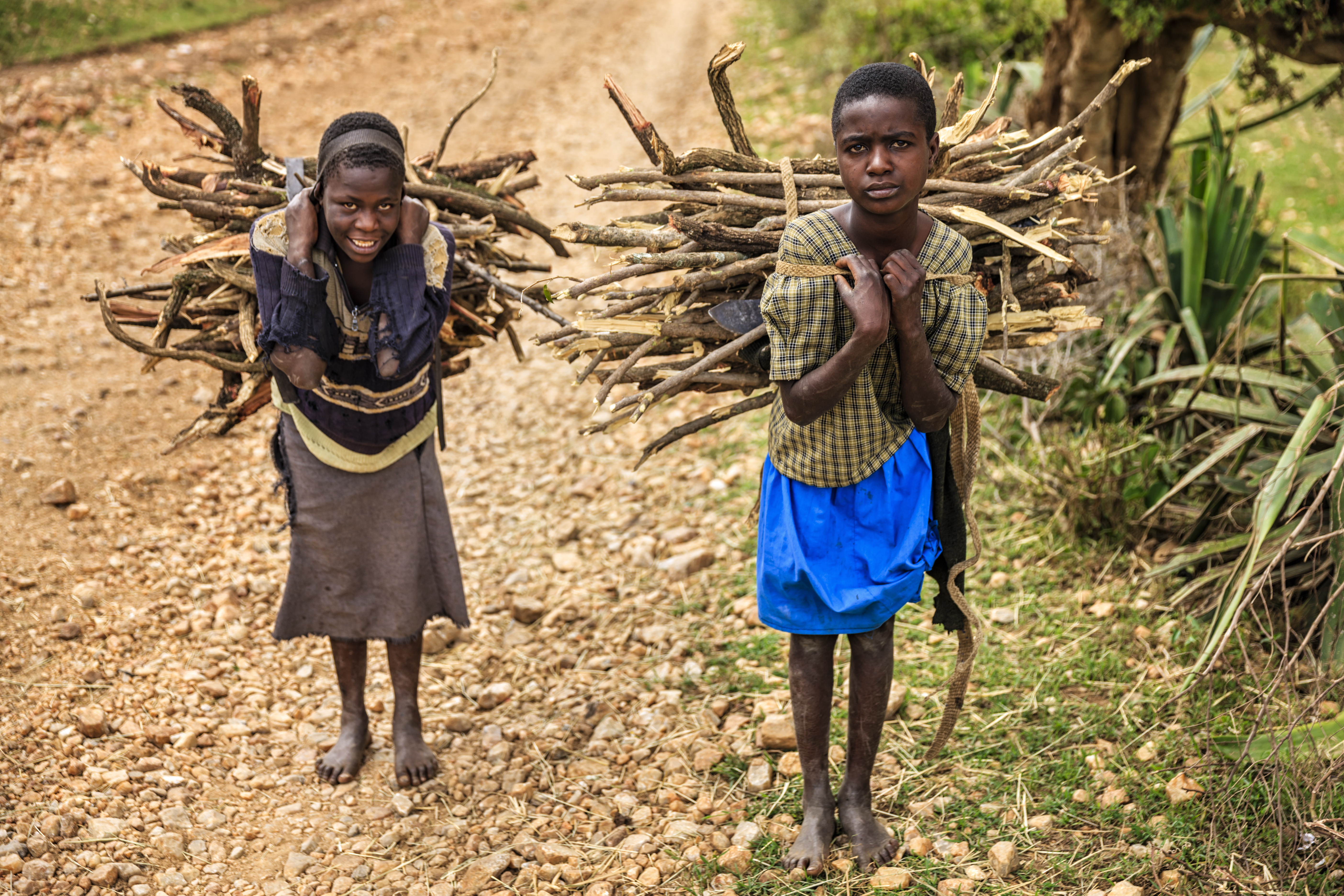 Young African girls carrying brushwood, southern Kenya, East Africa